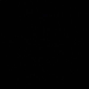 .............................